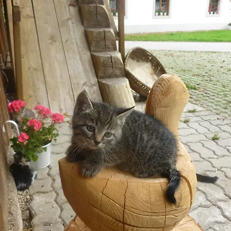 Ferien Am Land - Waldbauer Appartement