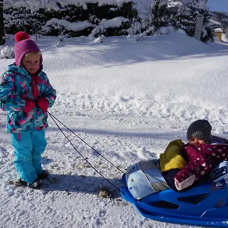 アパート Ferien Am Land - Waldbauer *