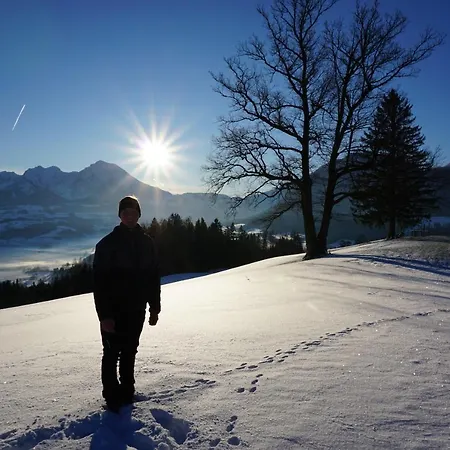 Ferien Am Land - Waldbauer Rossleithen