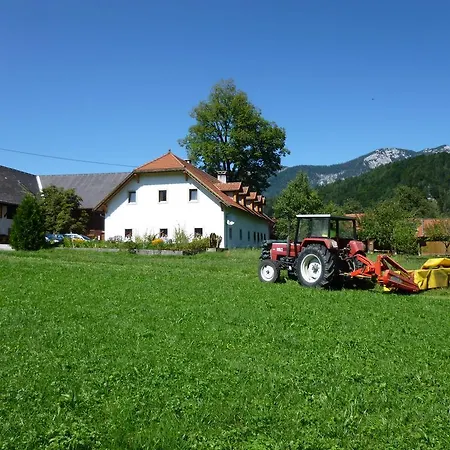 Ferien Am Land - Waldbauer Apartment