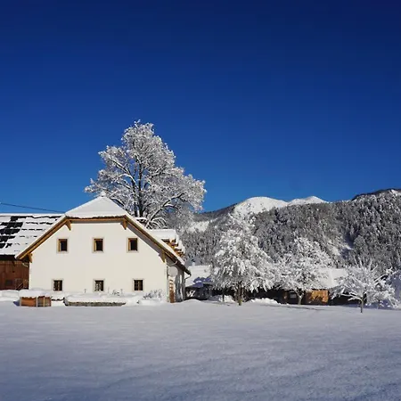 Ferien Am Land - Waldbauer Apartment Rossleithen