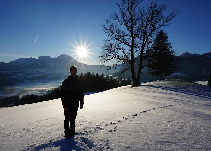 Ferien Am Land - Waldbauer Rossleithen