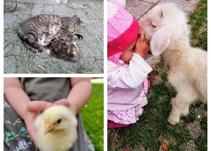 Lejlighed Ferien Am Land - Waldbauer *