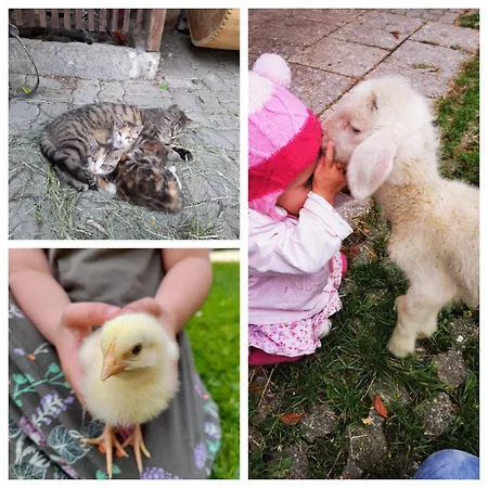 Appartamento Ferien Am Land - Waldbauer *